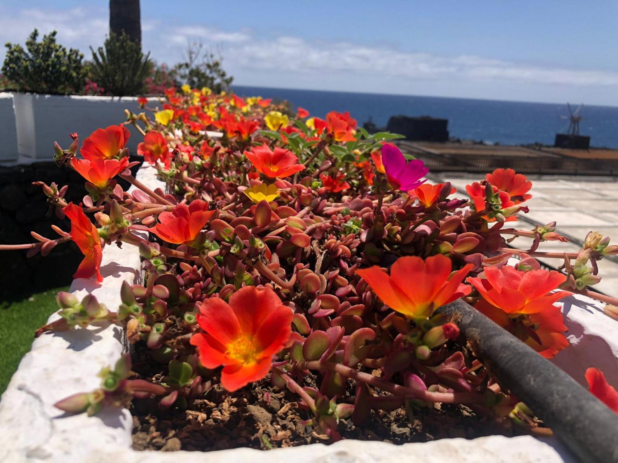 Vivienda Vacacional Sal Y Mar Playa Cancajos.- BreNa Baja  Exterior foto